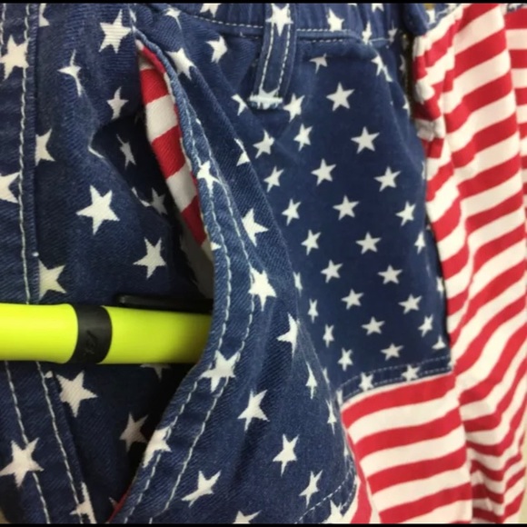 Mericas 5” Chubbies Originals Shorts Small - Picture 6 of 10